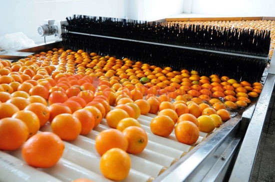 سورتینگ مرکبات