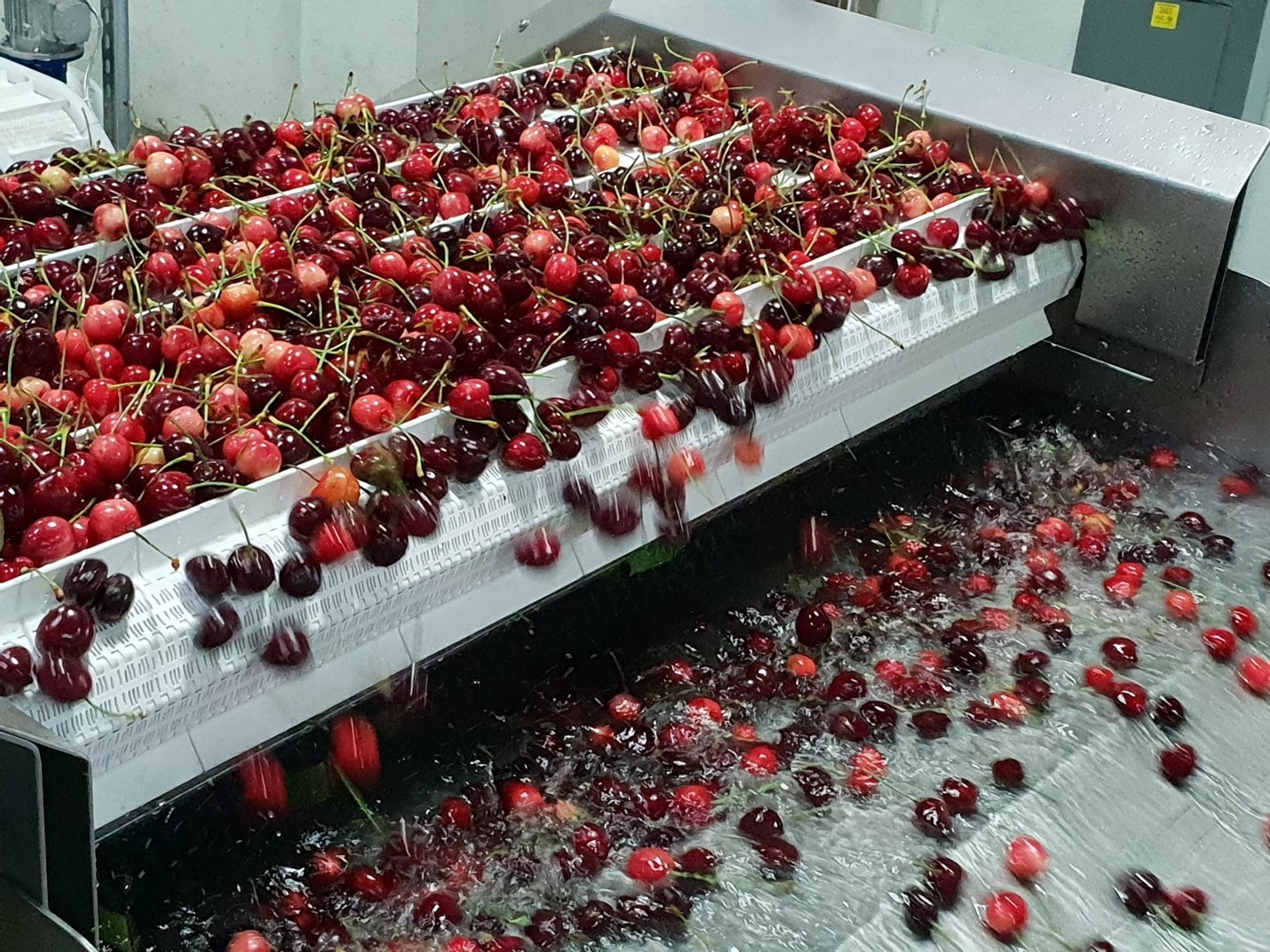 سورتینگ مرکبات